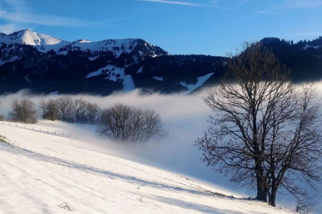 Ferienwohnung Jolie Vue Au Calme Évian-les-Bains Exterior foto